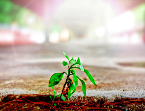 رشد یعنی حذف اصطکاک